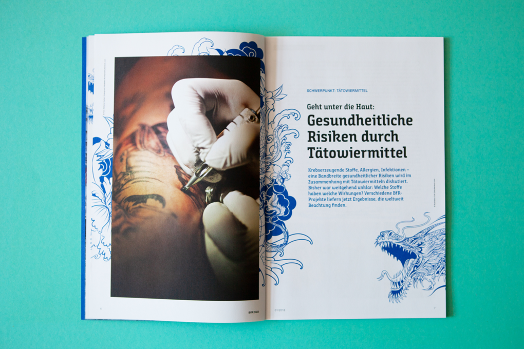 BfR-Magazin BfR-Magazin