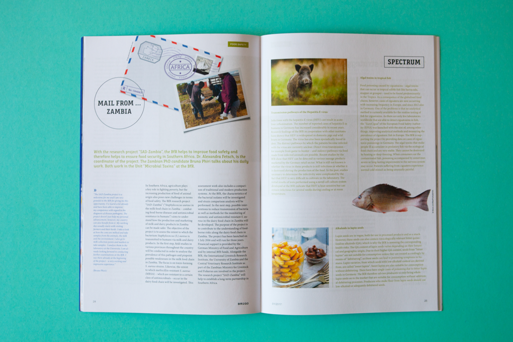 BfR-Magazin BfR-Magazin