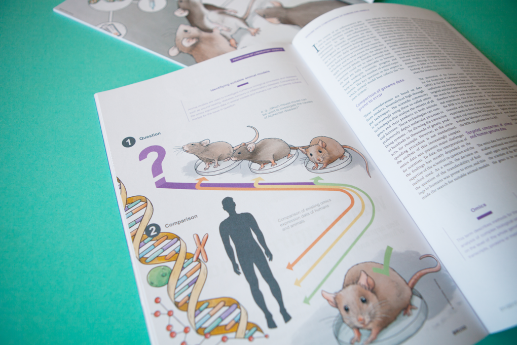 BfR-Magazin BfR-Magazin