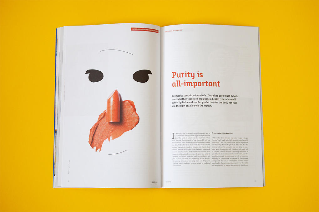 BfR-Magazin BfR-Magazin